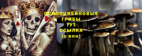 метамфетамин Белокуриха